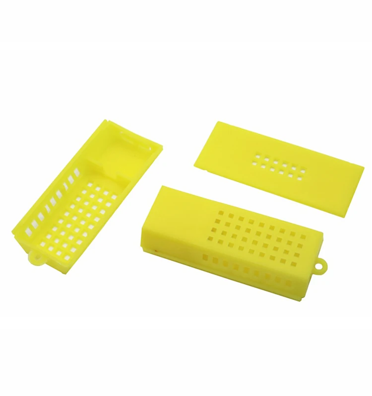 Plastic Cages Queen Bee Beehive Bee Equipment Bee Farm Beekeepers Tool 