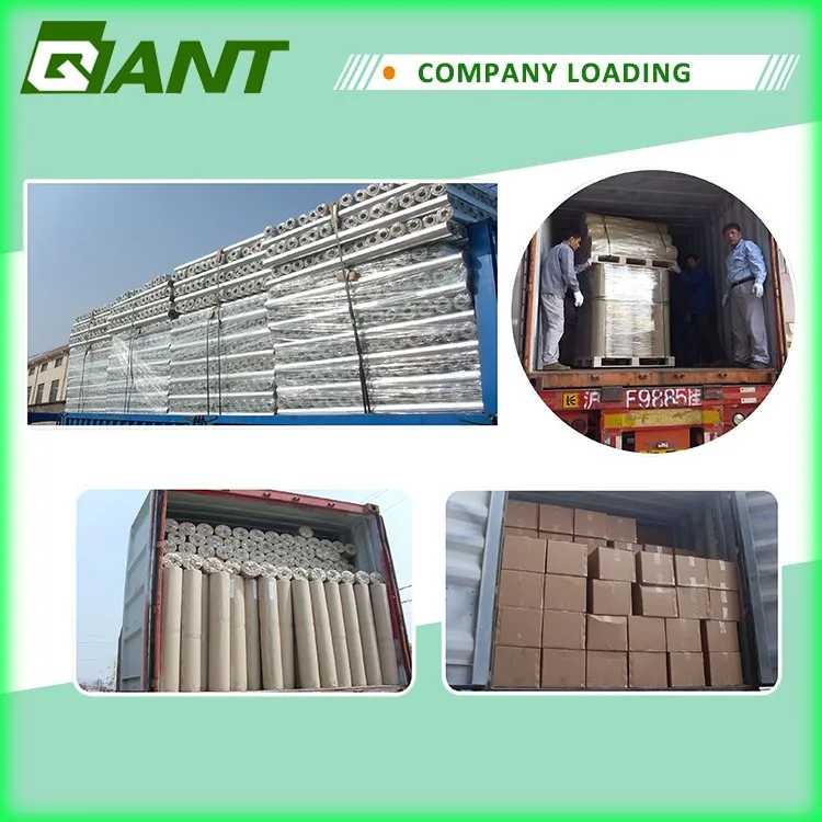 COMPANY LOADING