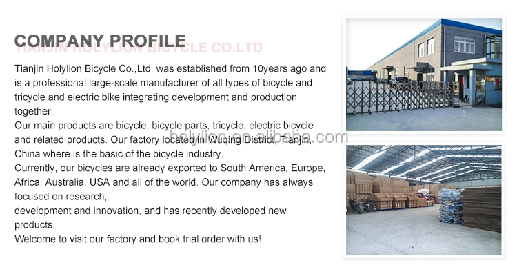 Tianjin Factory Supplies Dutch Bicycle Holland Bike for Cheap City Cycle