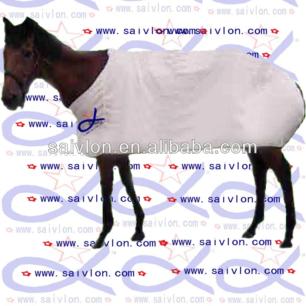 horse305AA