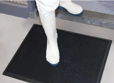 Animal Husbandry Foot Wear Disinfection Mat