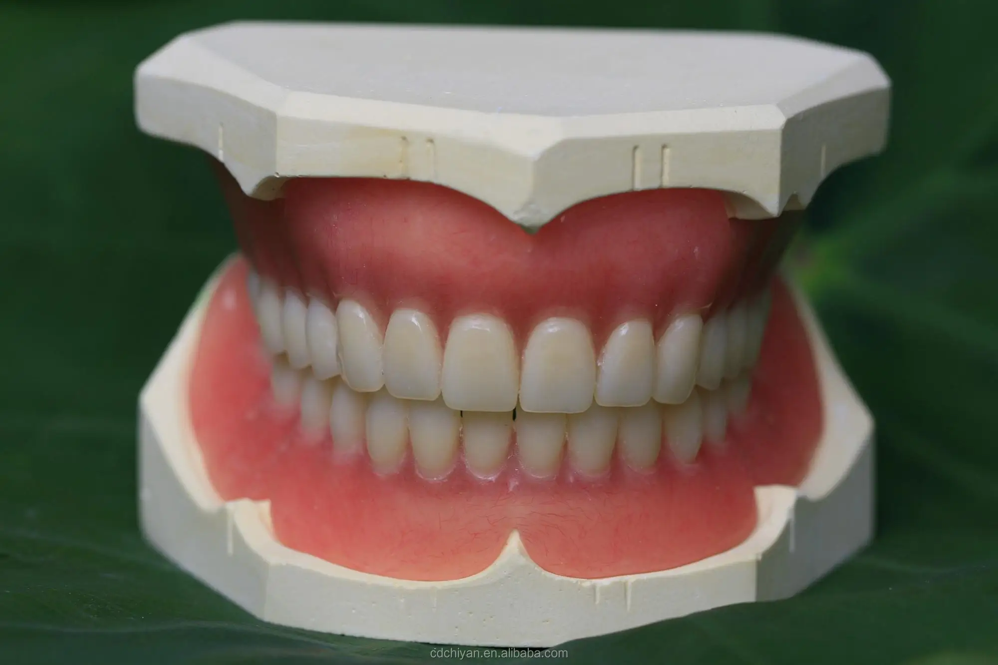 акриловый протез зубов фото