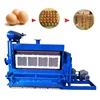 2018 New type advanced technique used electric egg tray forming machine