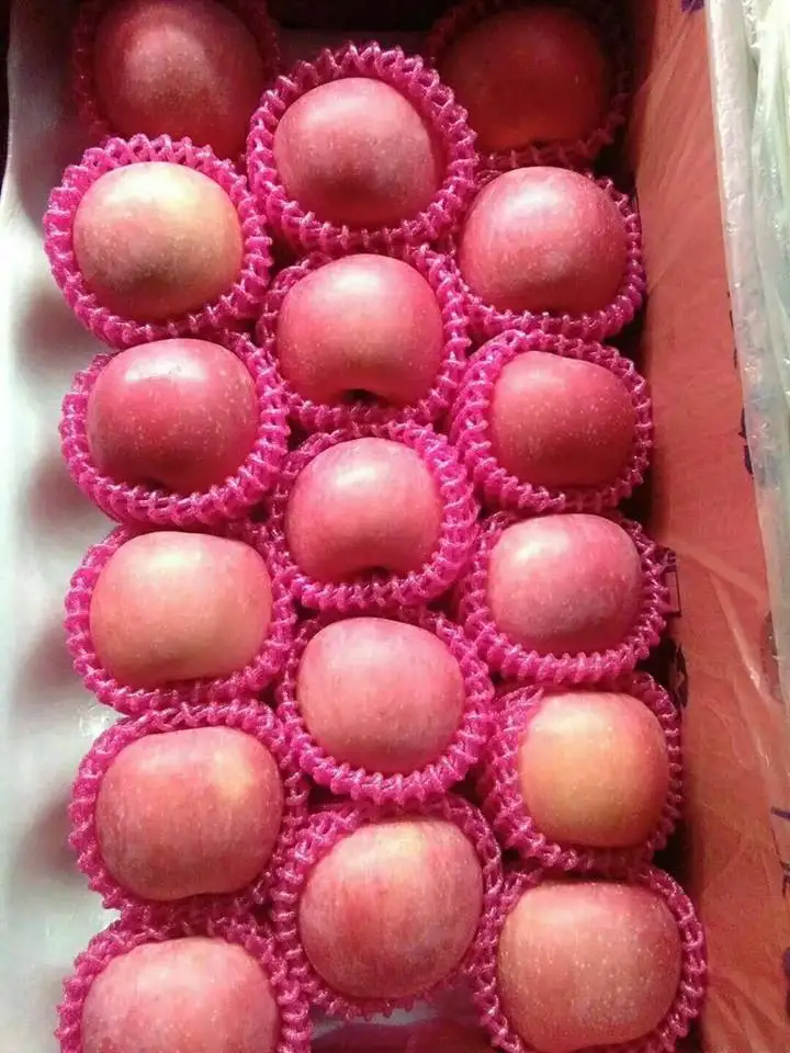 Chinese Fresh Fruits Red Delicious Fuji Apples With Competitive Price