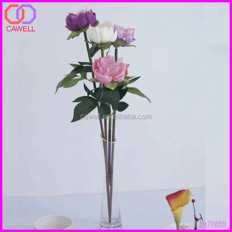 Real Natural Peony Wholesale Preserved Flower Buy Preserved Flower