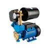 /product-detail/1-elestar-wz-series-self-sucking-water-pumps-2-liters-pressure-vessel-roof-booster-pump-60102914771.html