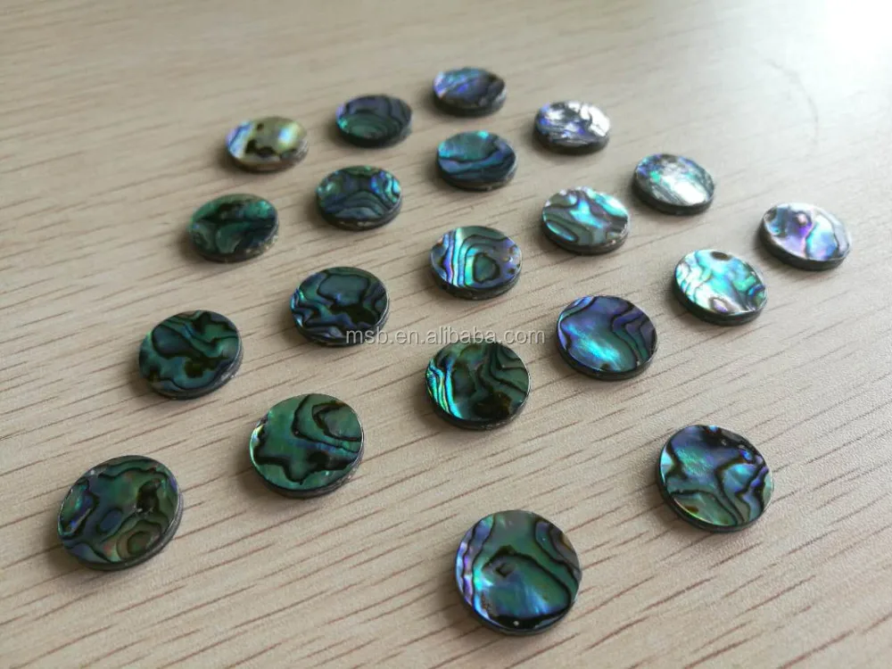 12 PCS UNDRILLED ROUND ABALONE SHELL BLANK DISC 12MM #T-448 