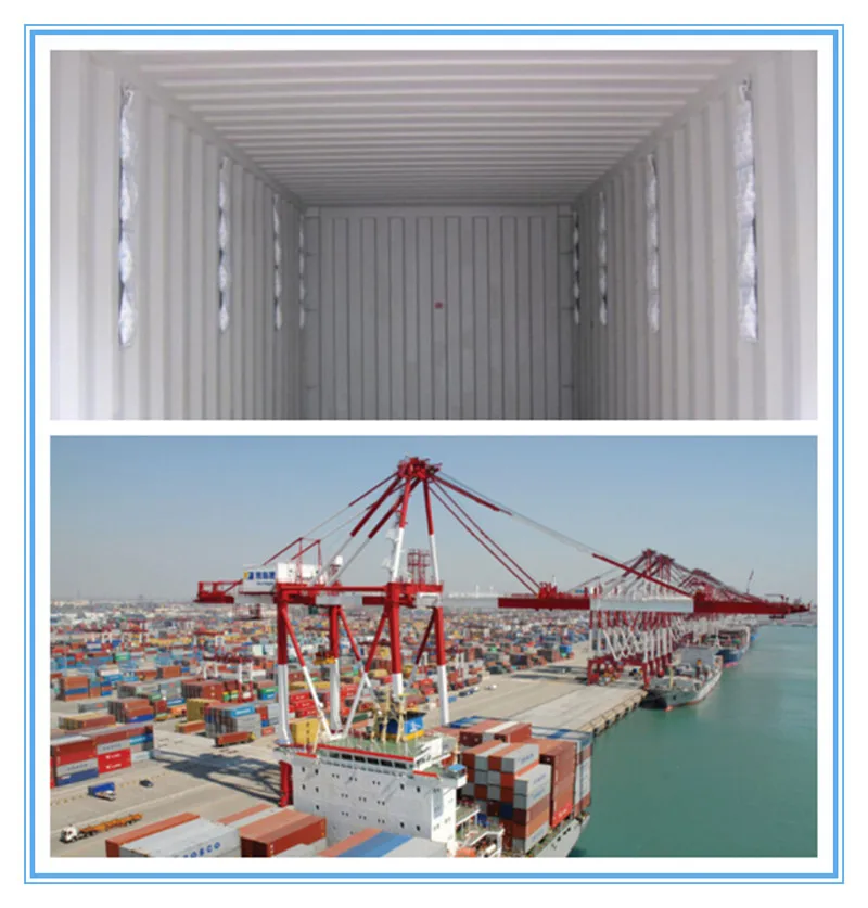 1000g Dry Bag With Calcium Chloride Drying Agent For Container Buy