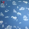 POP 3d design plastic tiles for office walls pvc interior wall cladding ceiling materials for hotel blue sky factory discounts