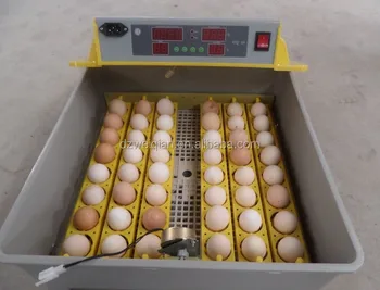 Best peacock egg incubator