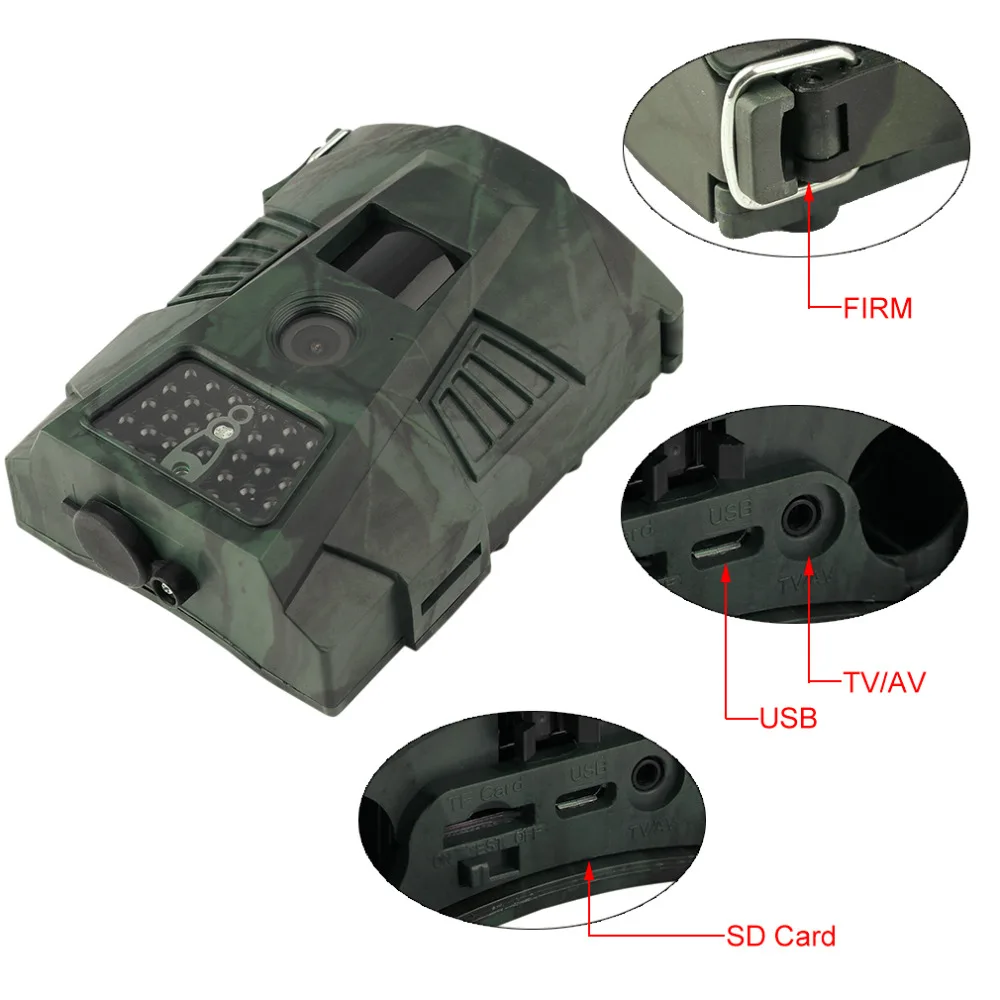 trail camera (4).jpg