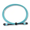 12 Cores Multimode OM3 OM4 MPO/MTP Patch Cord In Optical Fiber for Data Center Communication Network