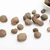 Lei Wan Wholesale Good Price Non-additive Chinese Herb Natural Stone-Like Omohalia For Sale