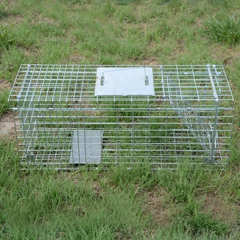 High Quality Weasel Trap Cage,Metal Weasel Cage Trap,Humane Weasel Trap ...