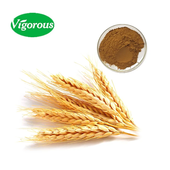 factory supply pure natural wheat germ extract for healthcare