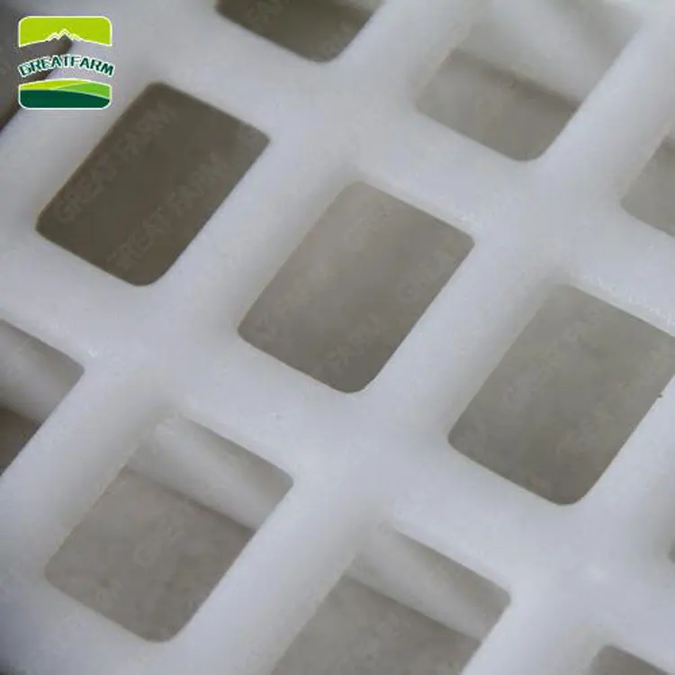 slat floor for chickens