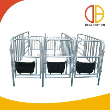 Livestock Equipment Pig Cage Pig Gestation Stall Buy Gestation Stall Pig Cage Equipment Pig Pen Product On Alibaba Com