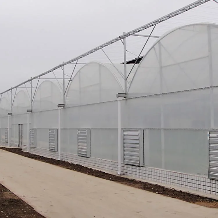 multispan green house.jpg
