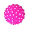 /product-detail/nature-rubber-foam-bumpy-dog-ball-pet-toy-62024181980.html
