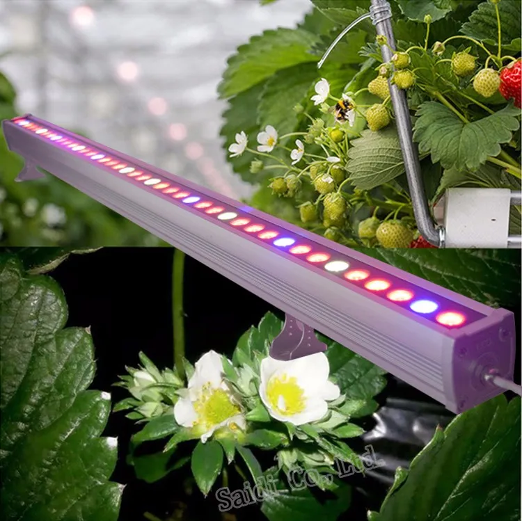 High PPFD LED Grow Light for Strawberry Strips 730nm Far Red LED Grow Light Waterproof IP65 Dimmer Grow Light Bar