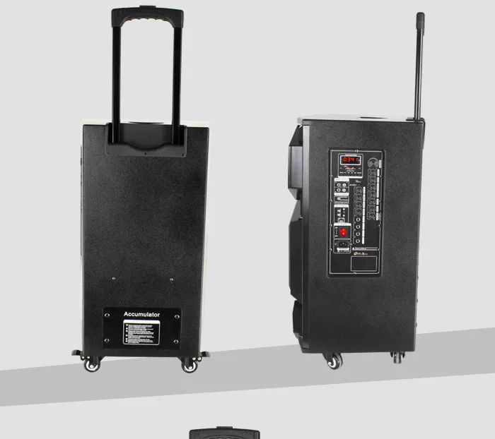 15 Inch Trolley Speaker Professional Portable Trolley Speaker Trolley ...