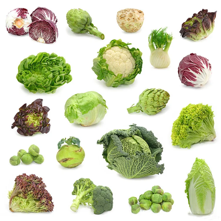 fruit vegetable processing machine