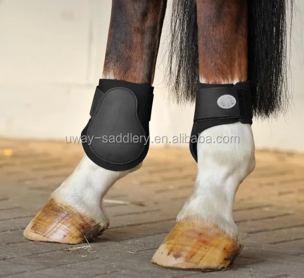 horse leg protection boots