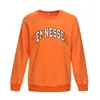 wholesale OEM service high quality pullover hoodies Orange blank basic unisex sport fleece sweatshirt