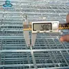 factory sales livestock husbandry 4x4 welded wire mesh fence
