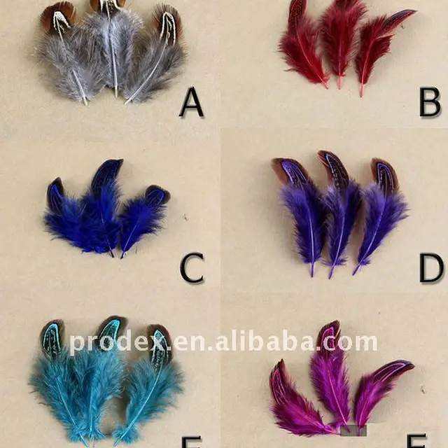 chicken feather mask