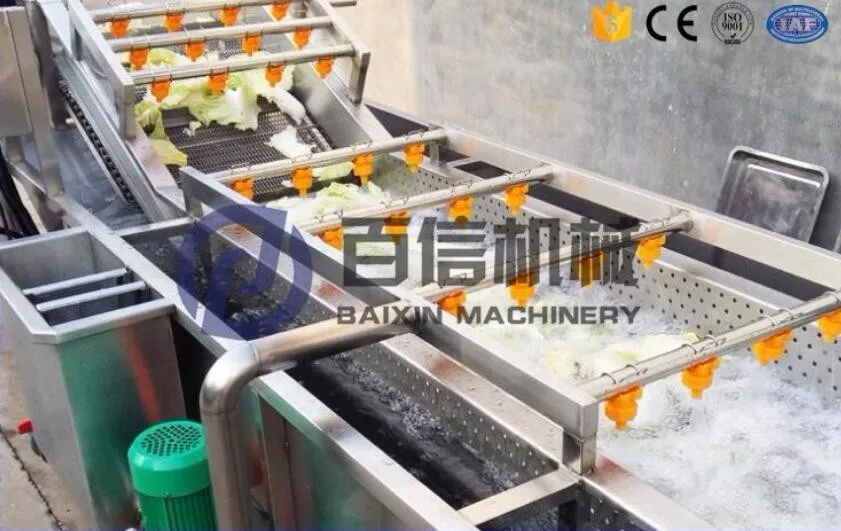 Industrial Tomato/apple Washer Machine /fruit Washer Price Buy