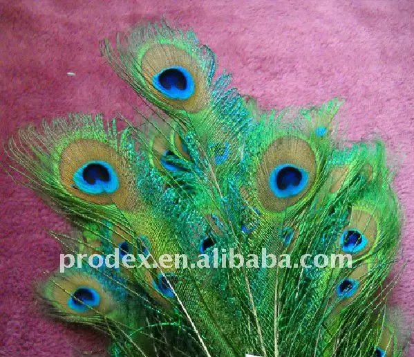 Wedding Centerpieces Party Decoration Peacock Feather Buy Purple