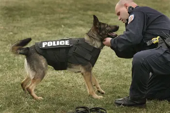 bulletproof dog vest bulletproof dog vest