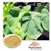 wholesale kava extract from kava root for pharmaceutical raw material
