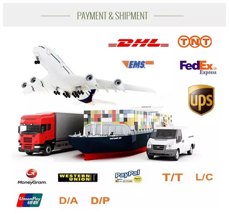 Cardboard Eyeshadow Palette Packaging