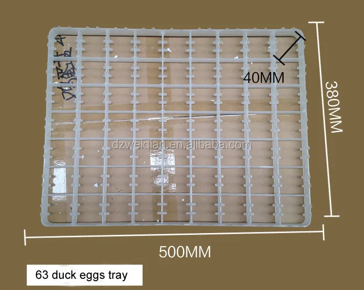 High Quality Plastic Quail Egg Tray 221 Eggs,Incubator Quail Egg Trays
