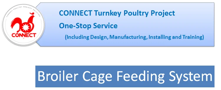 Broiler Cage Feed System.png