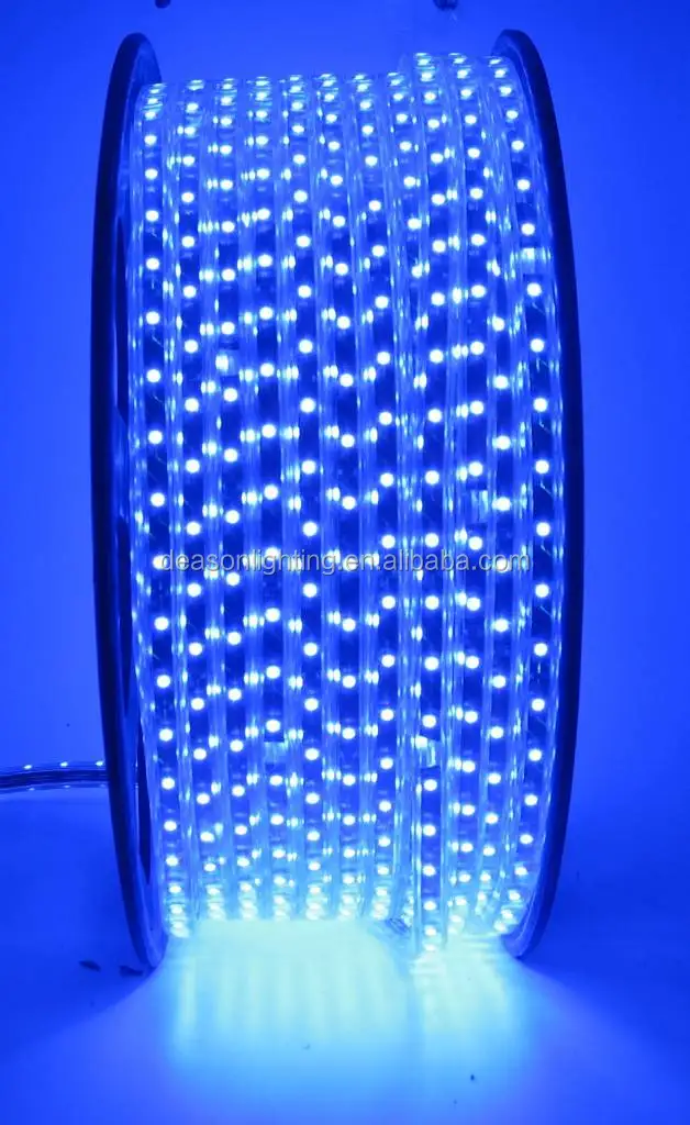 blue led rope light (1).jpg