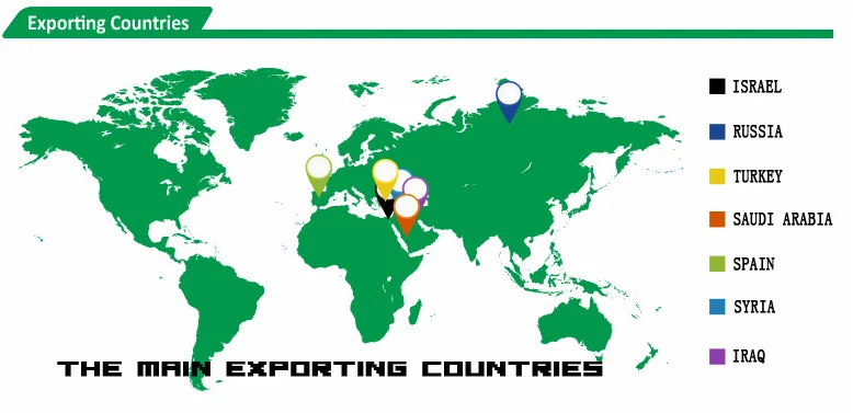 paste-pic-dp_uuid_09e7z