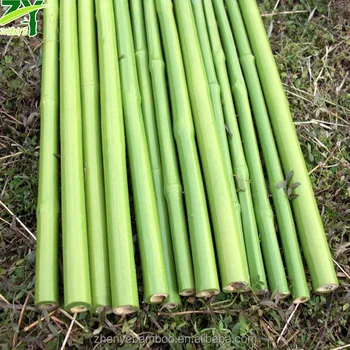 New Zy 1023 Bamboo Sticks In Plastic Coat Bamboo Poles With