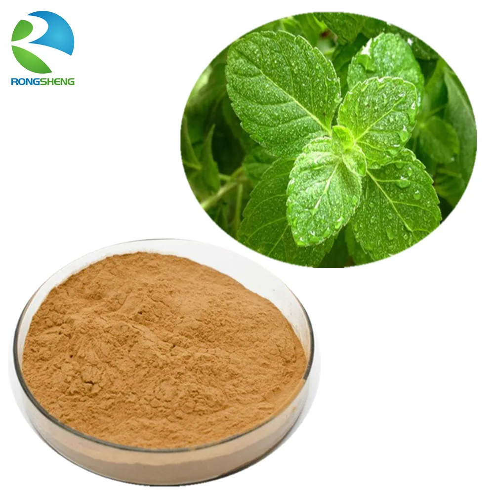 Top Quality Natural Wild Mint Herb Powder Buy Wild Mint Herb Powder