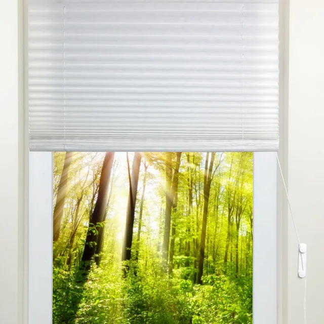 window shades /pleated blinds