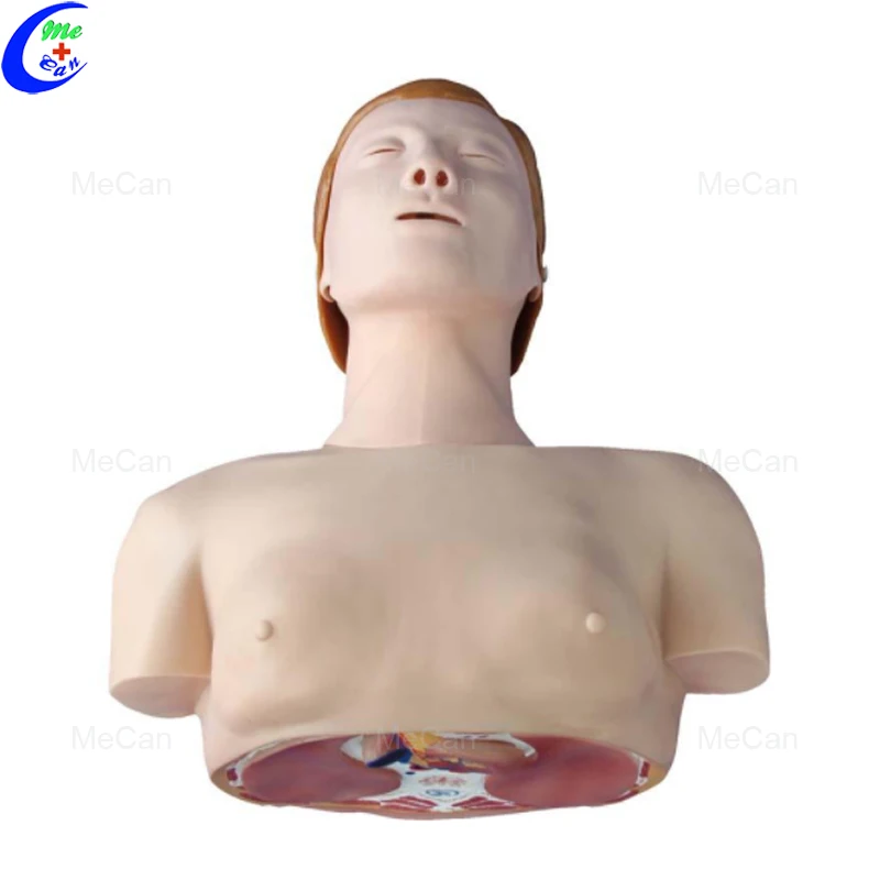 Basic CPR Training Model (Half Body)