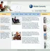Instant Web Designing And Hosting Service
