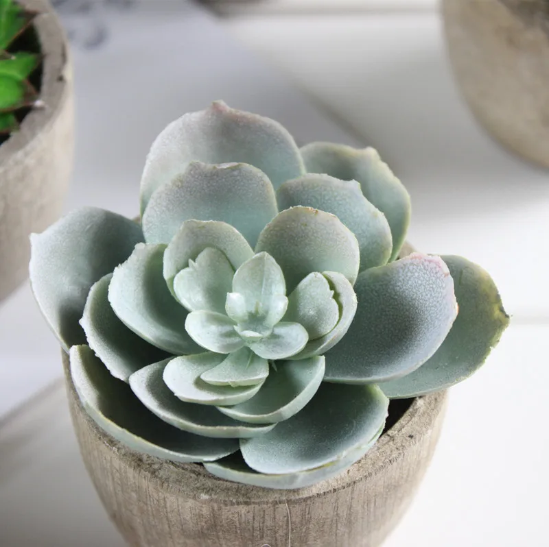 artificial succulent (2).jpg