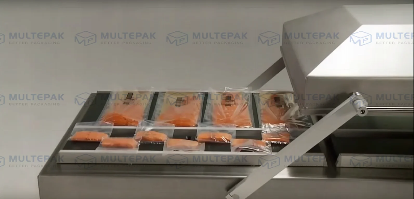 sturgeon 's caviar vacuum packaging machine for sale