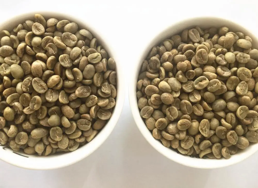 Arabica Coffee- Green Coffee Bean- Full Washed Grade A ...