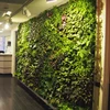 Gorgeous interior design realized by artificial plants wall