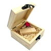 Gift Wooden USB Flash Drive Memory Stick Disk Box Pine Wood Gift Box With Hinge