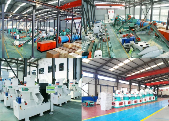 paste-pic-dp_uuid_4obg7